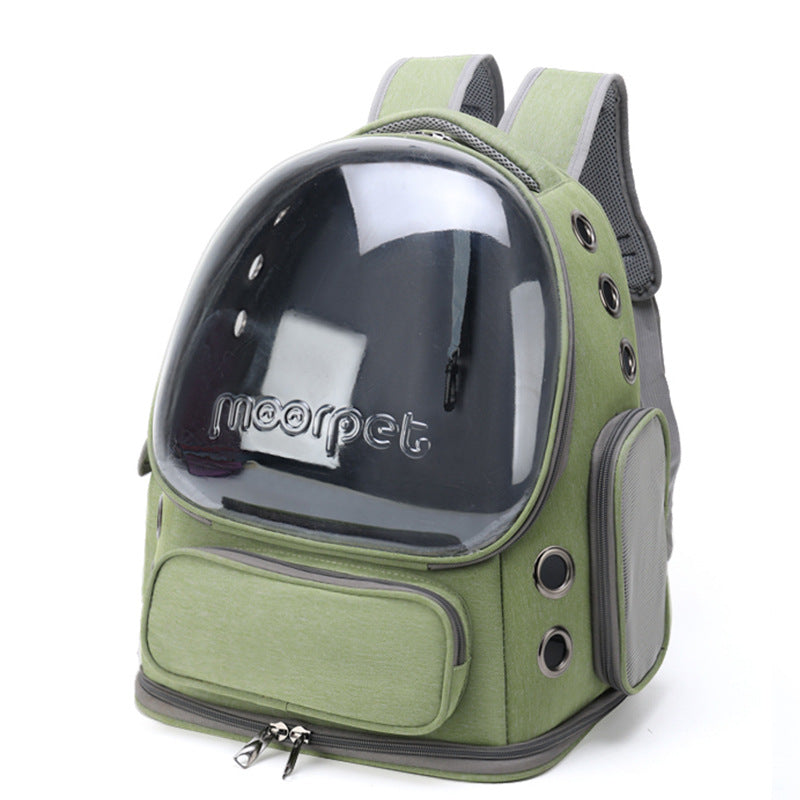Eco-Friendly Pet Travel Companion