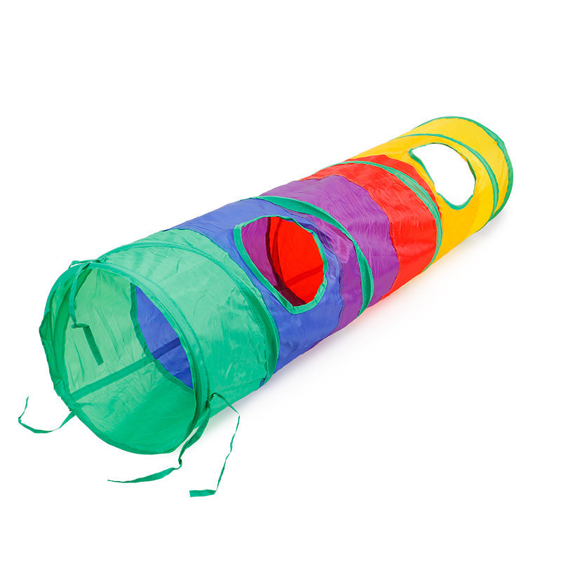 Playful Cat Tunnel Adventure