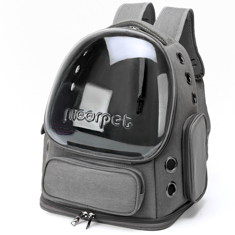 Eco-Friendly Pet Travel Companion