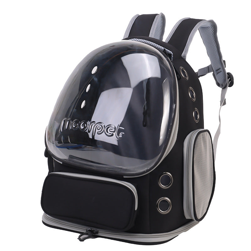 Eco-Friendly Pet Travel Companion