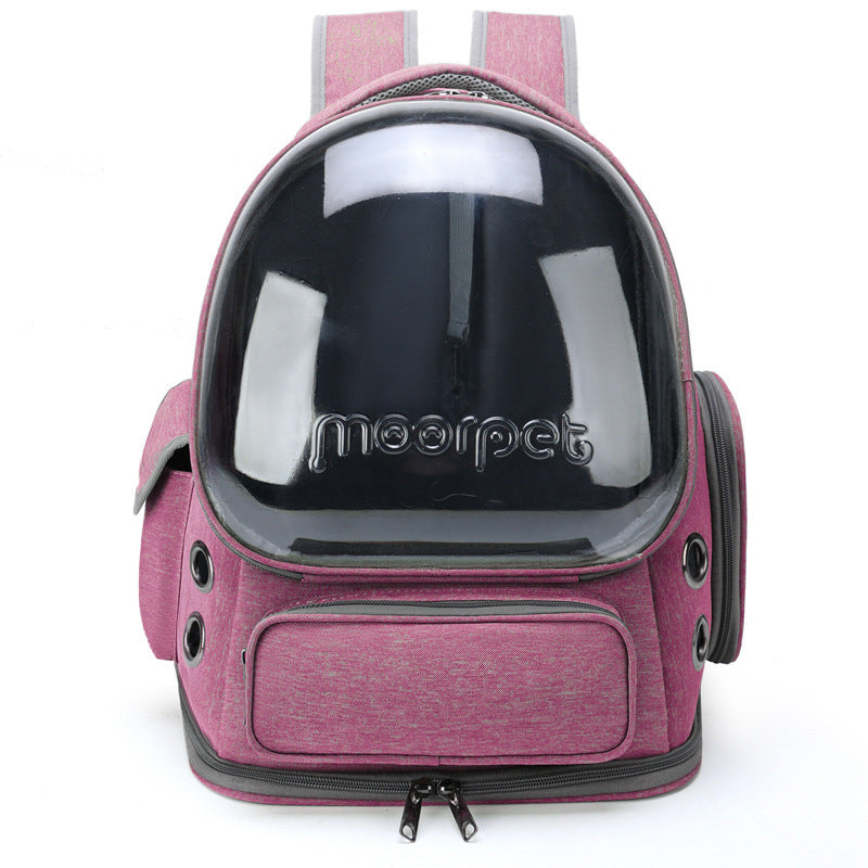 Eco-Friendly Pet Travel Companion