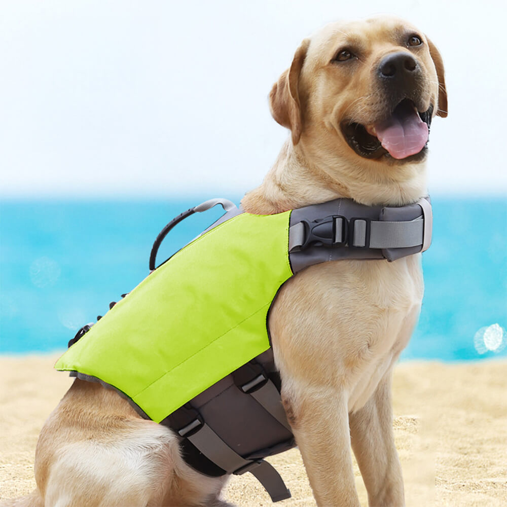 Safety First Dog Swim Vest