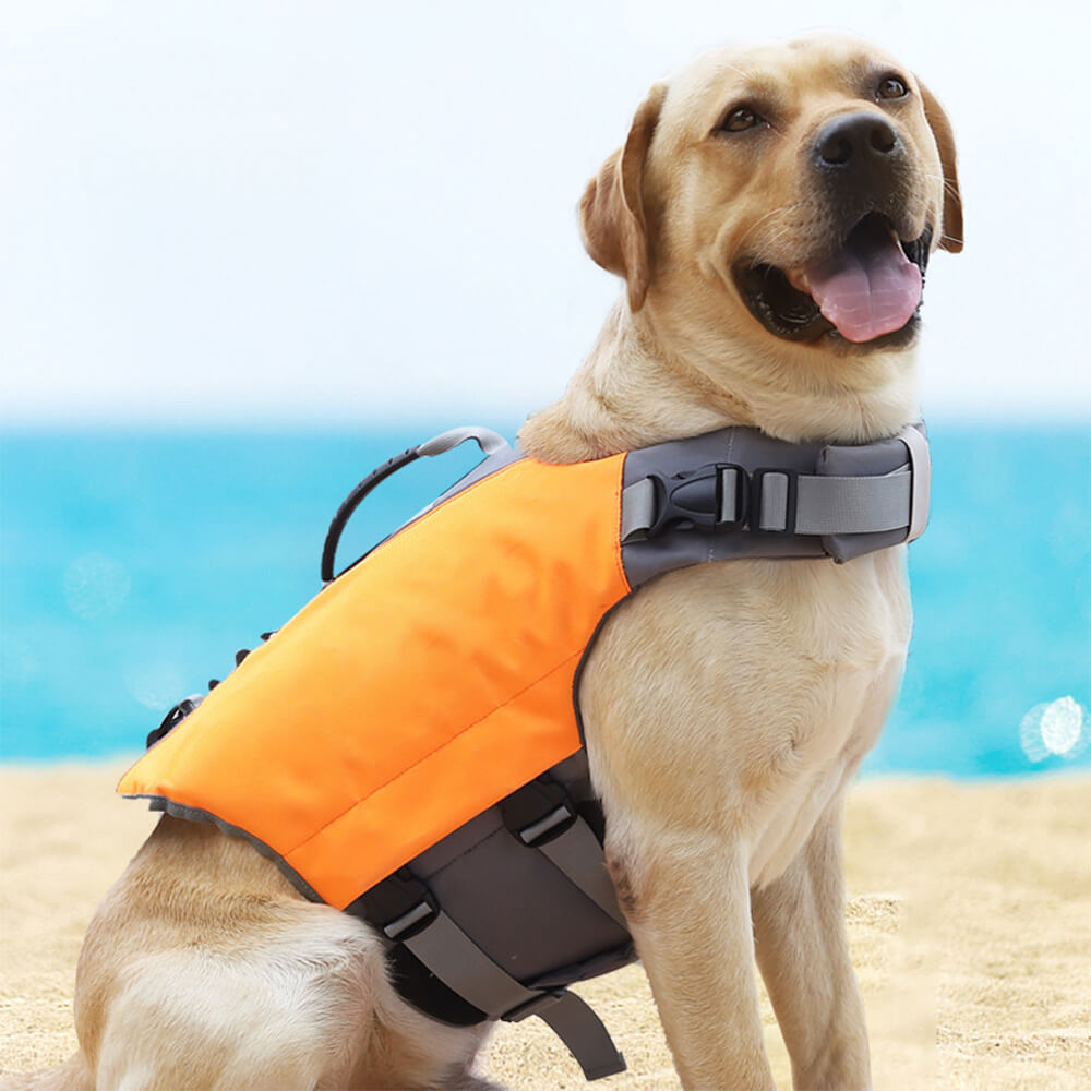 Safety First Dog Swim Vest