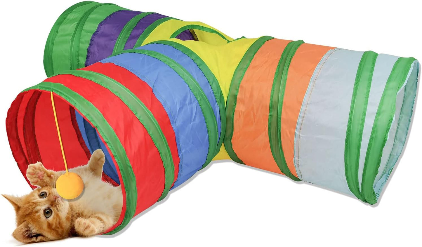 Playful Cat Tunnel Adventure