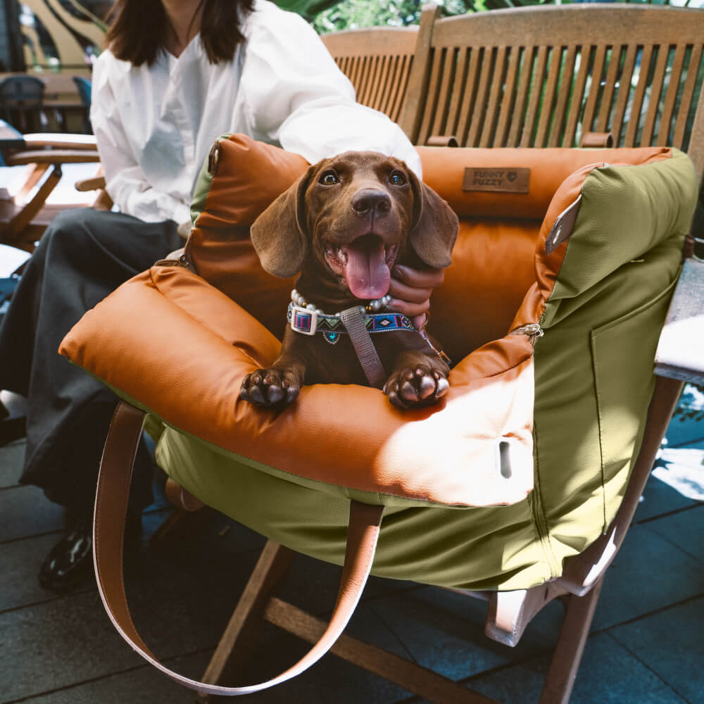 Urban Voyager Pet Car Bed