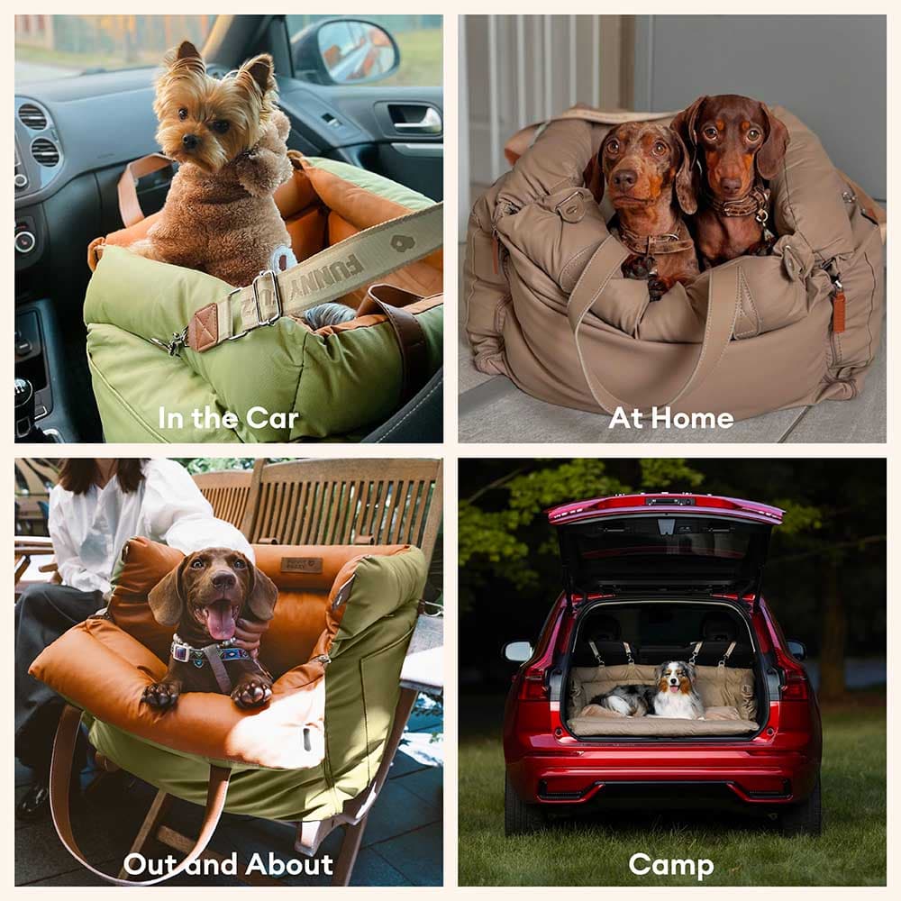 Urban Voyager Pet Car Bed
