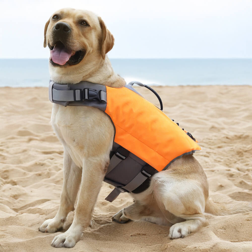 Safety First Dog Swim Vest