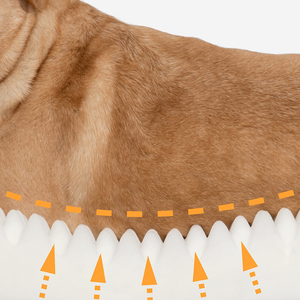 Cozy Orthopedic Dog Bed