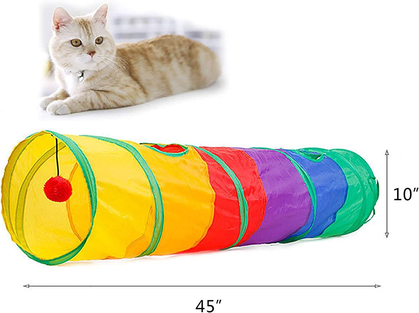 Playful Cat Tunnel Adventure