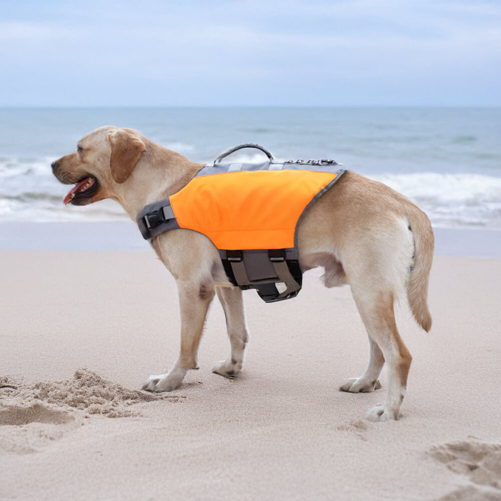 Safety First Dog Swim Vest