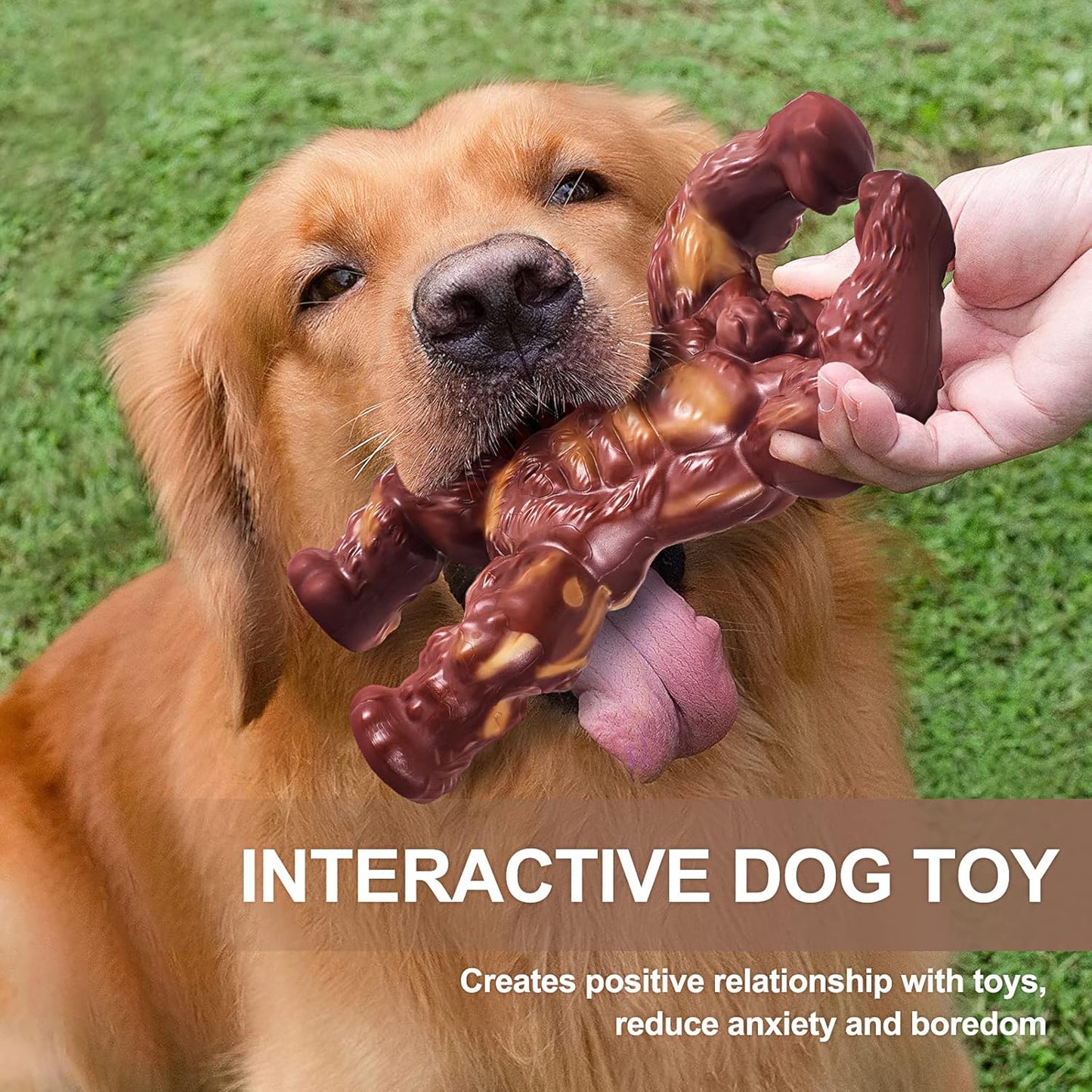 Tough Chew Dog Bone