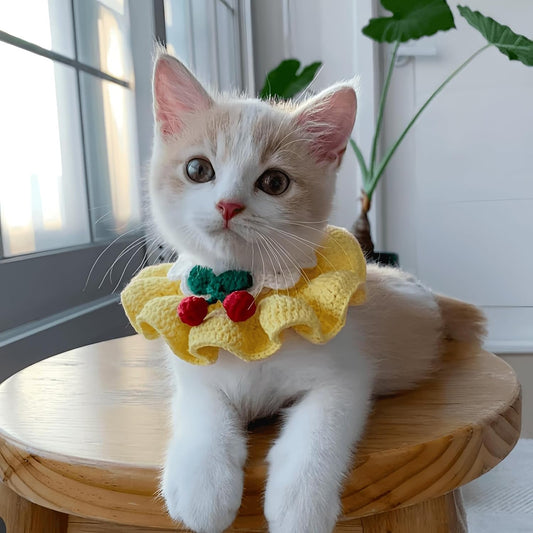 Adorable Floral Cat Bowtie Collar