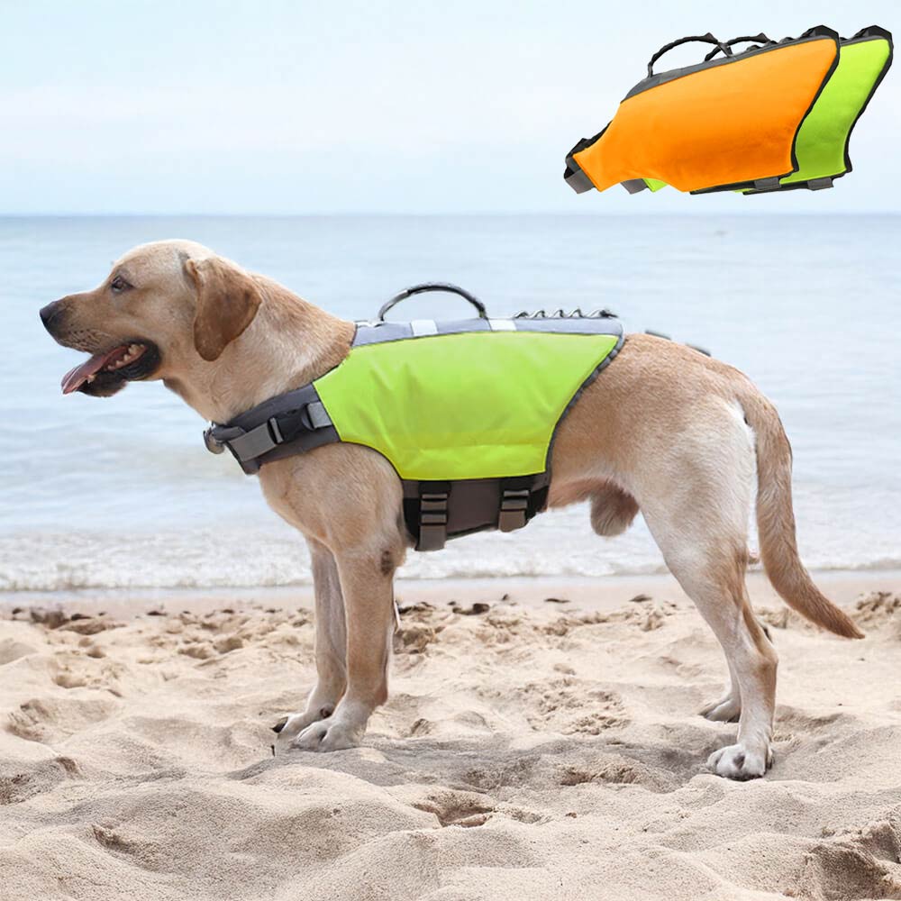 Safety First Dog Swim Vest