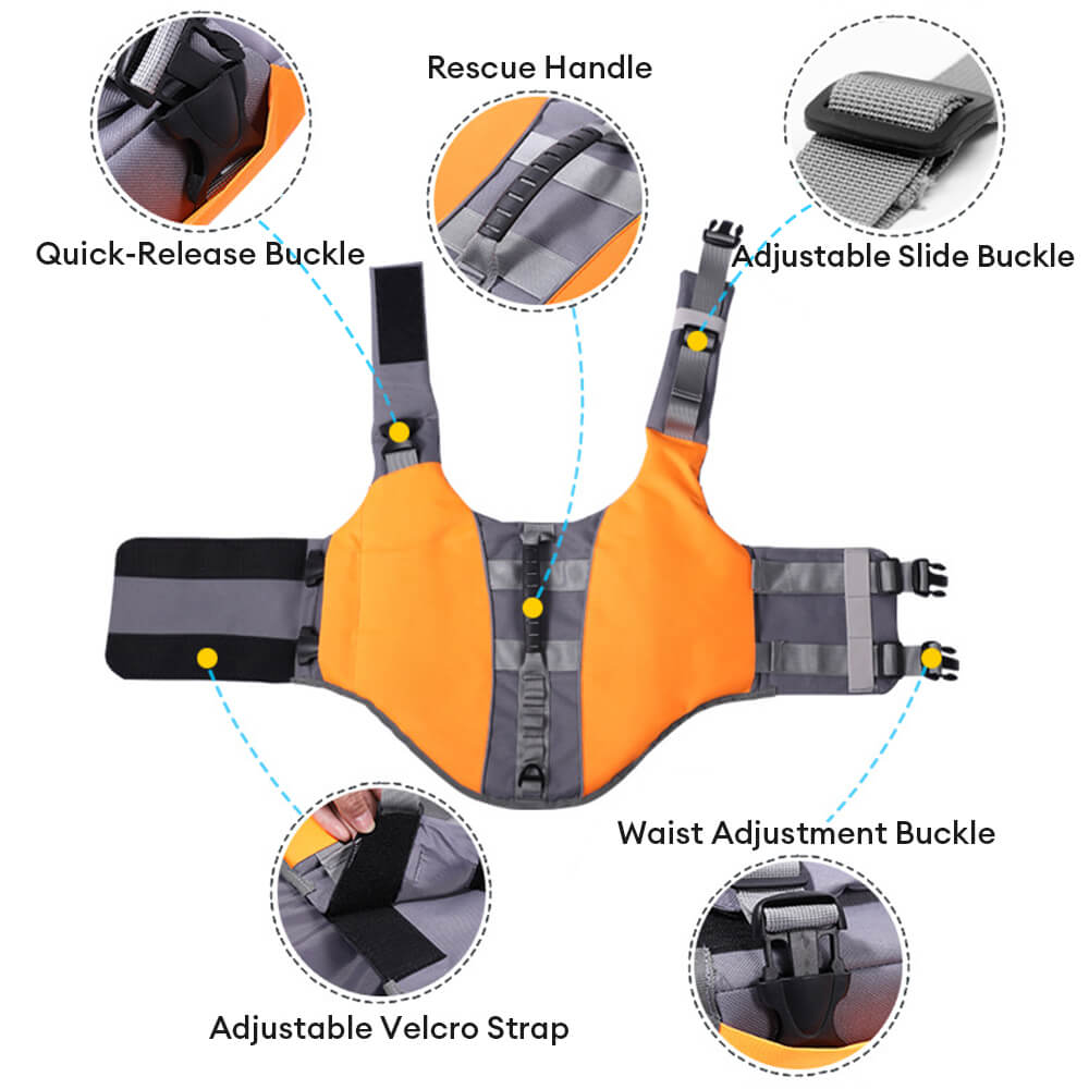 Safety First Dog Swim Vest