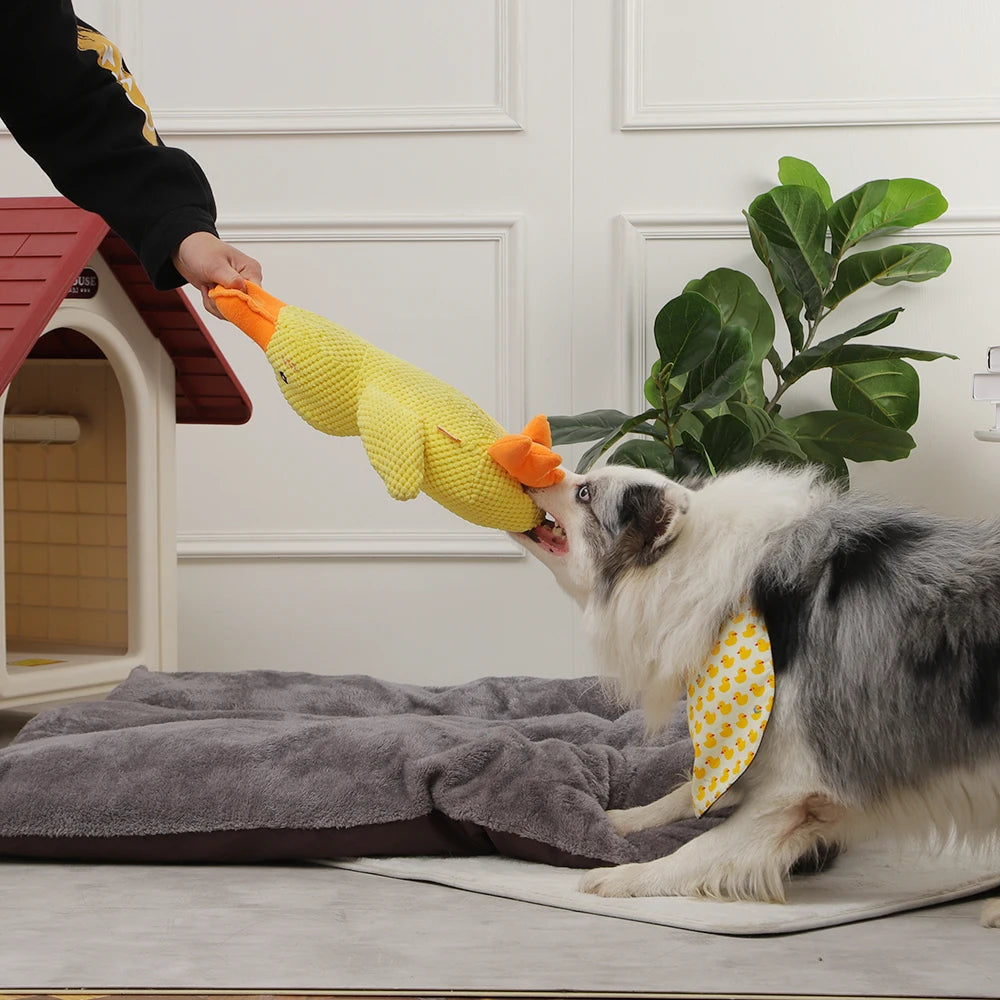 Fluffy Duck Buddy Plush