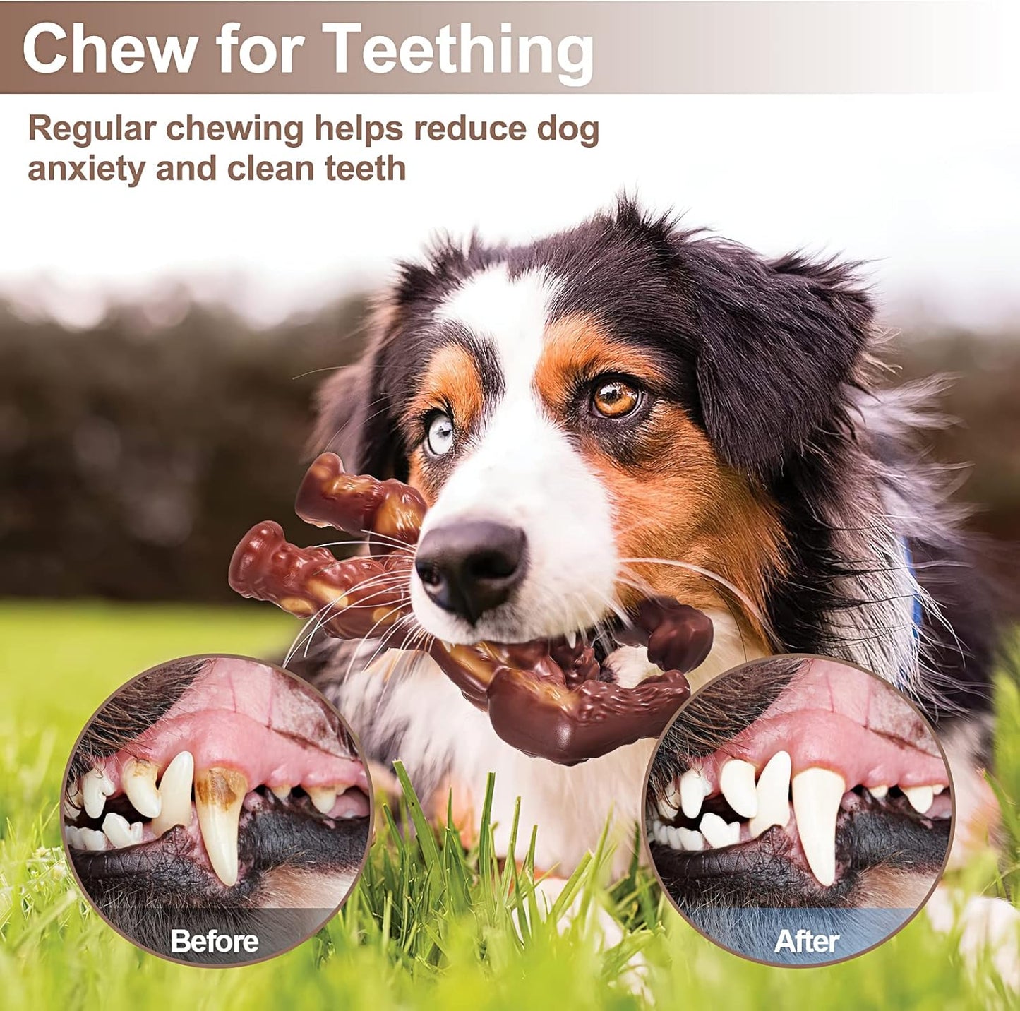Tough Chew Dog Bone