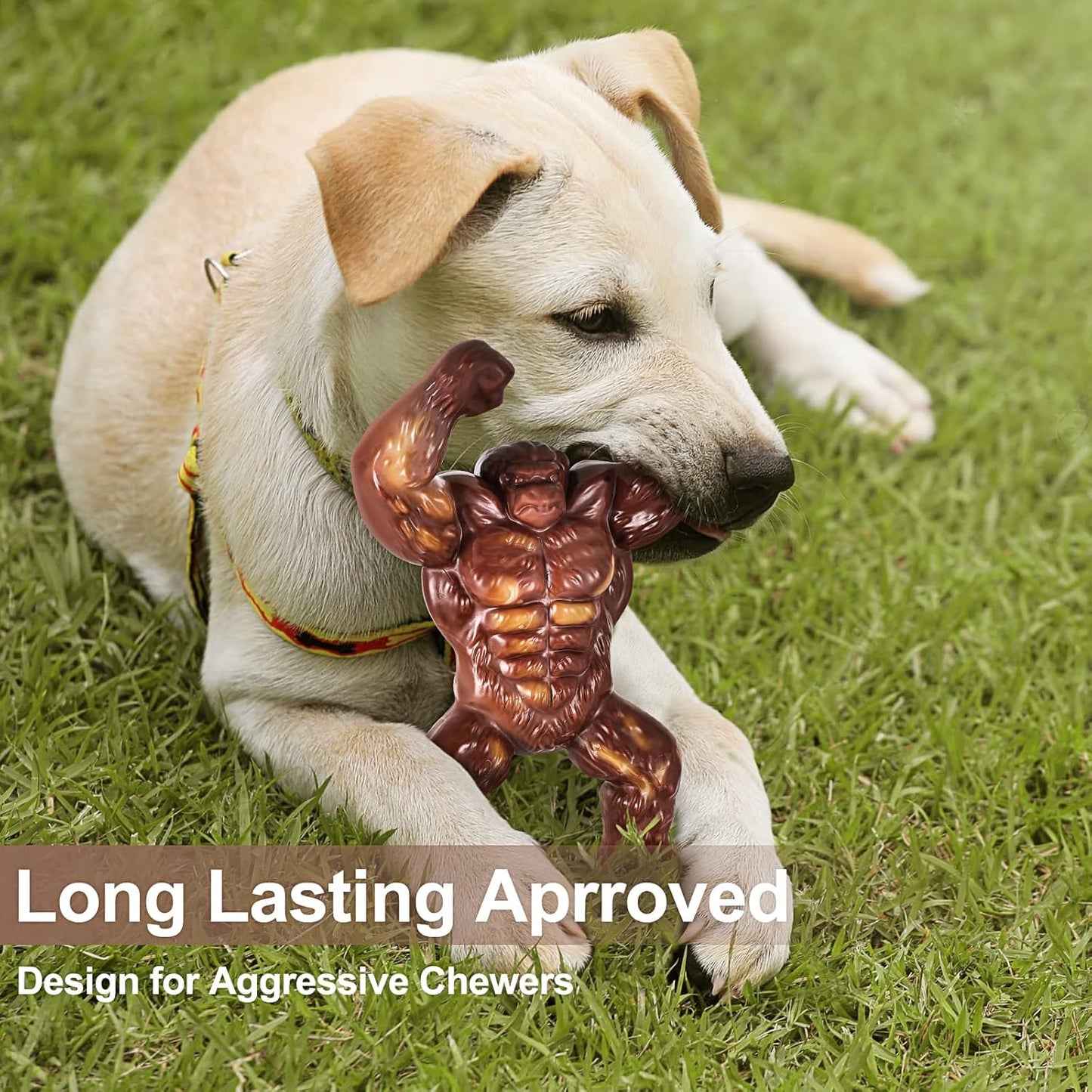 Tough Chew Dog Bone