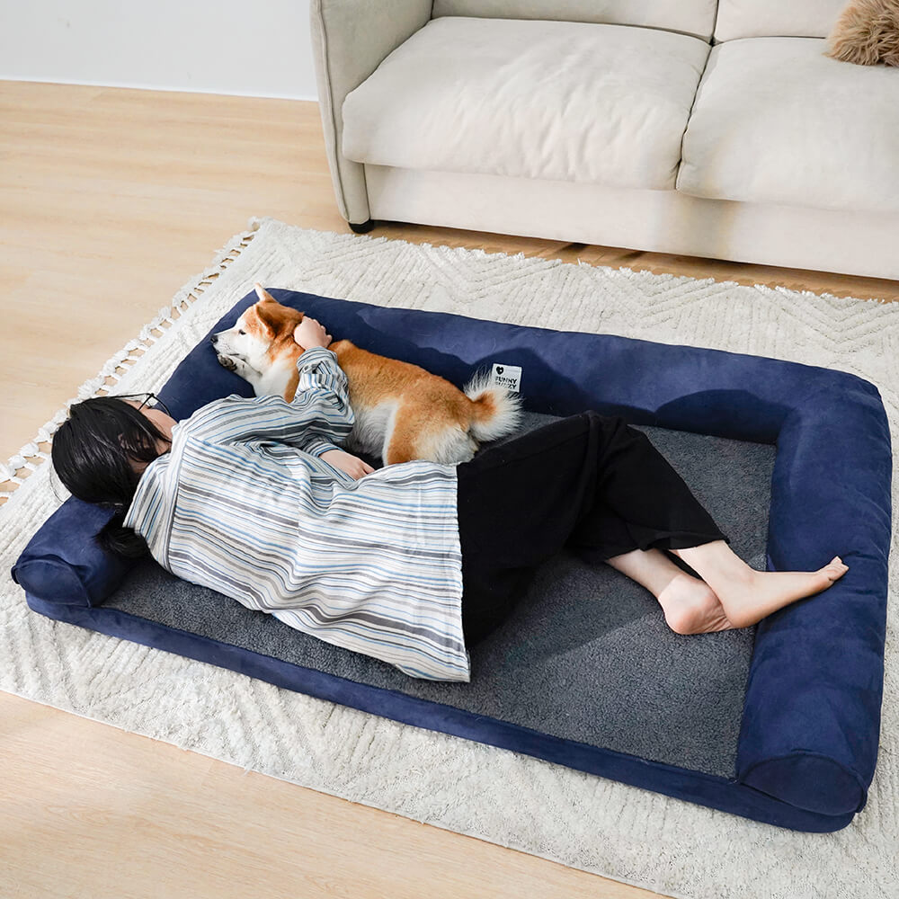 Cozy Orthopedic Dog Bed