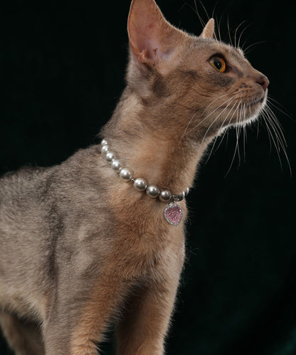 Pet's Starry Shell Necklace