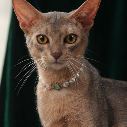 Pet's Starry Shell Necklace
