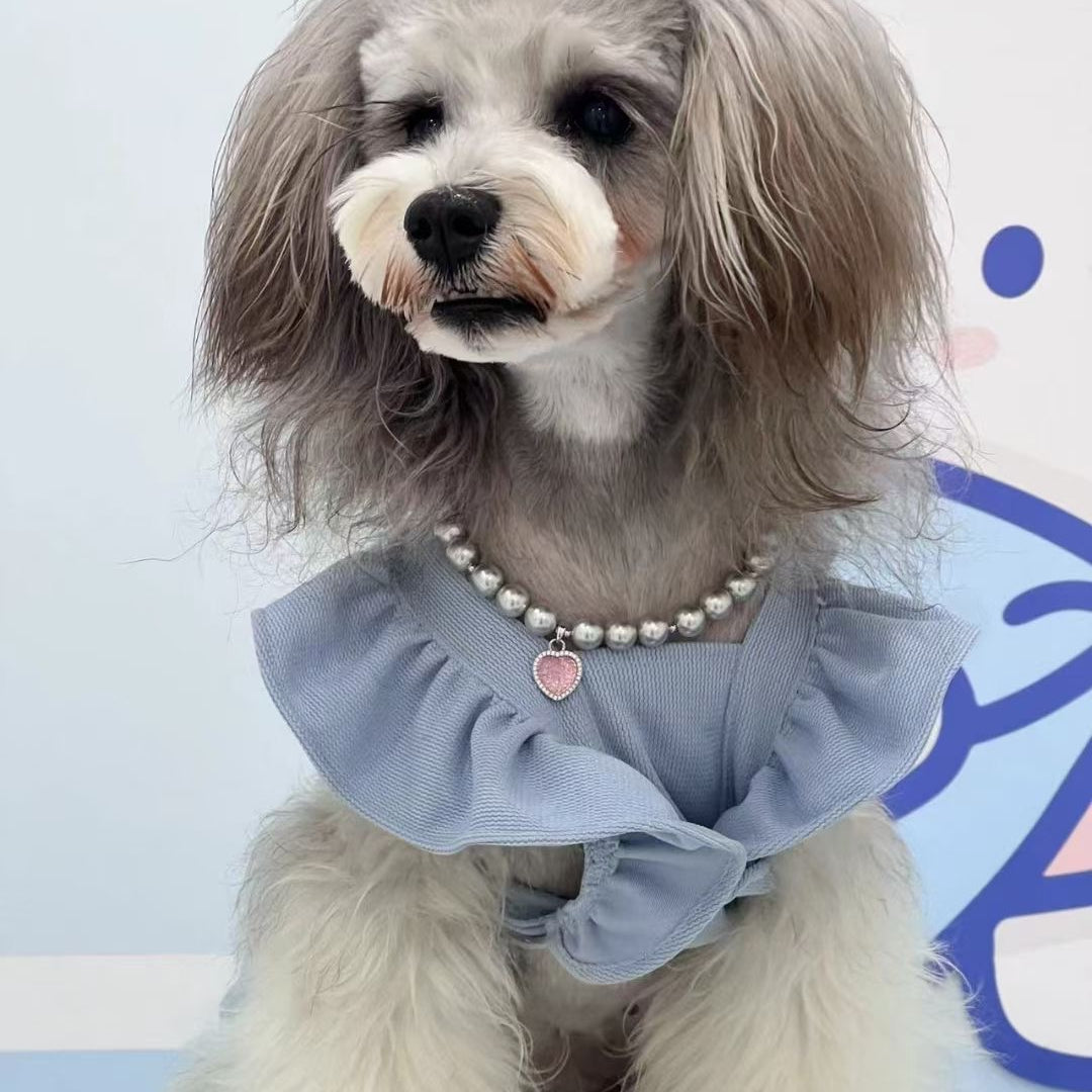 Pet's Starry Shell Necklace
