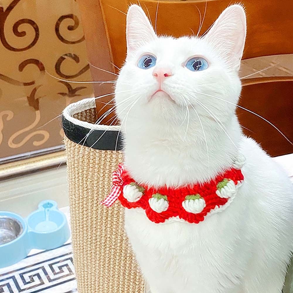 Cute Strawberry Cat Collar