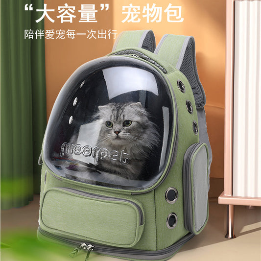 Eco-Friendly Pet Travel Companion