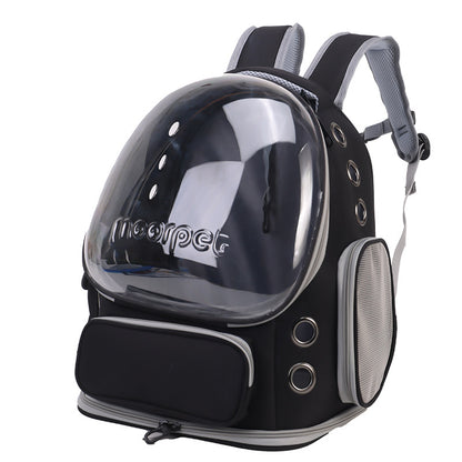 Eco-Friendly Pet Travel Companion