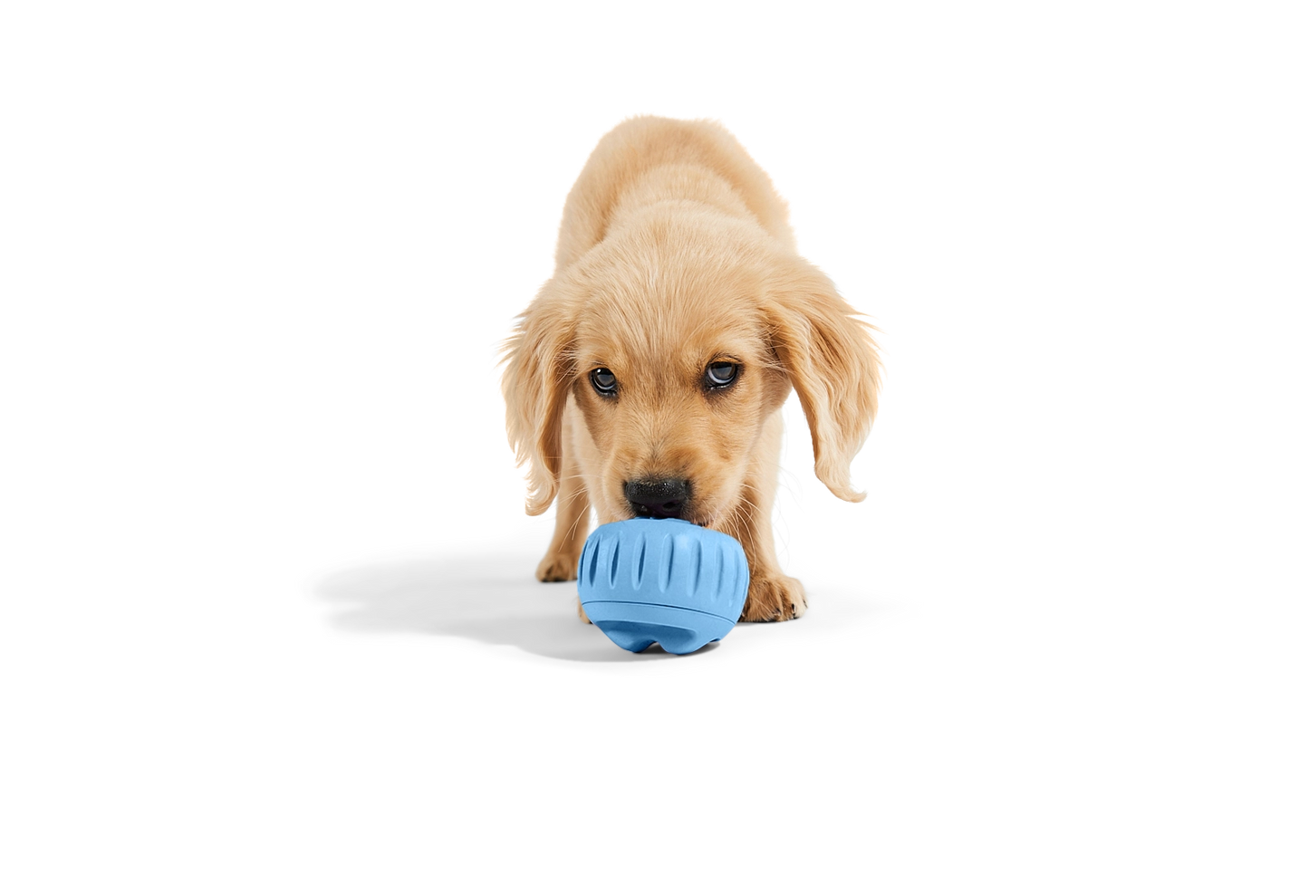 Woof Pupsicle Treat Toy