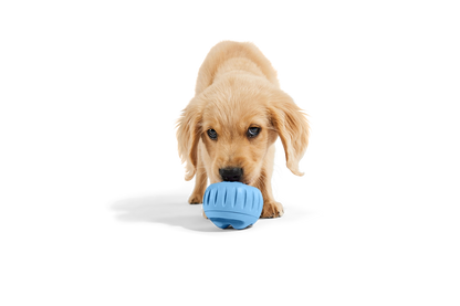 Woof Pupsicle Treat Toy