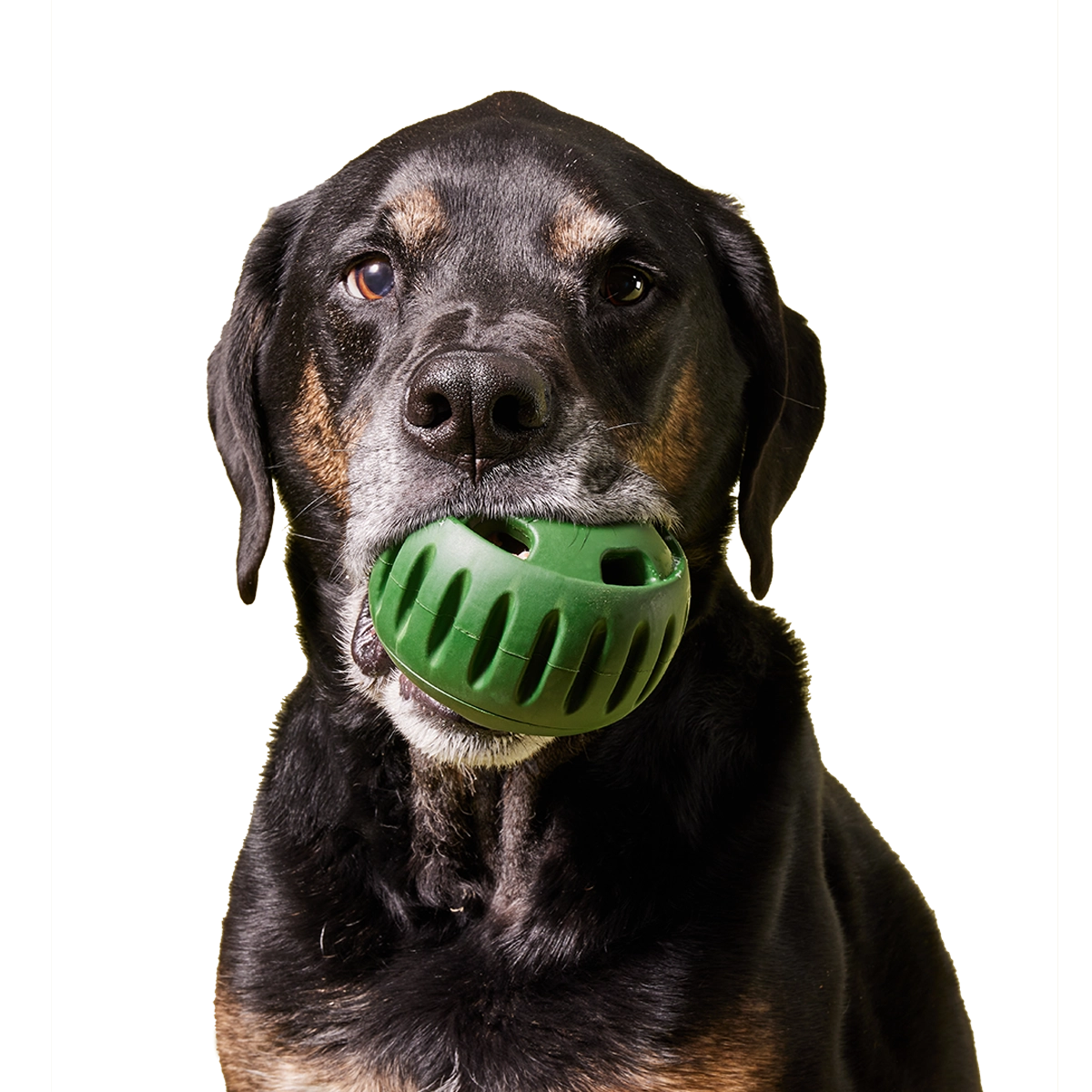 Woof Pupsicle Treat Toy