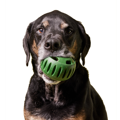 Woof Pupsicle Treat Toy
