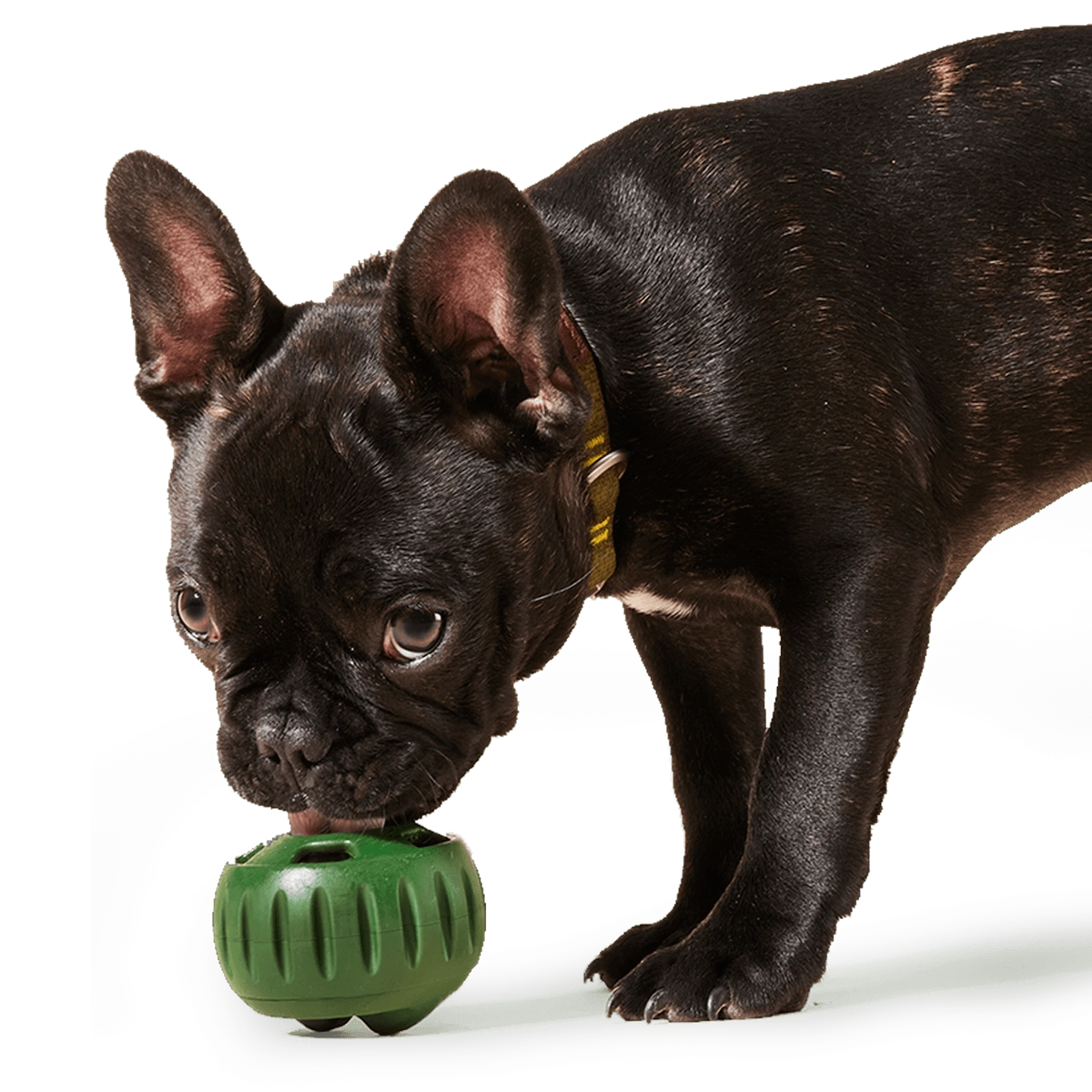 Woof Pupsicle Treat Toy