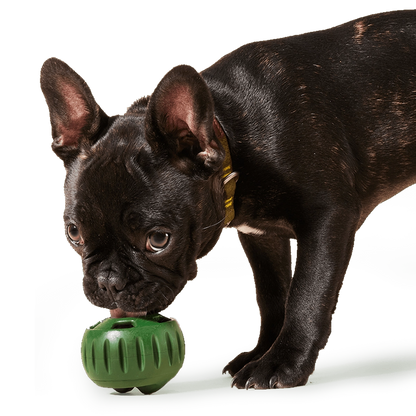 Woof Pupsicle Treat Toy