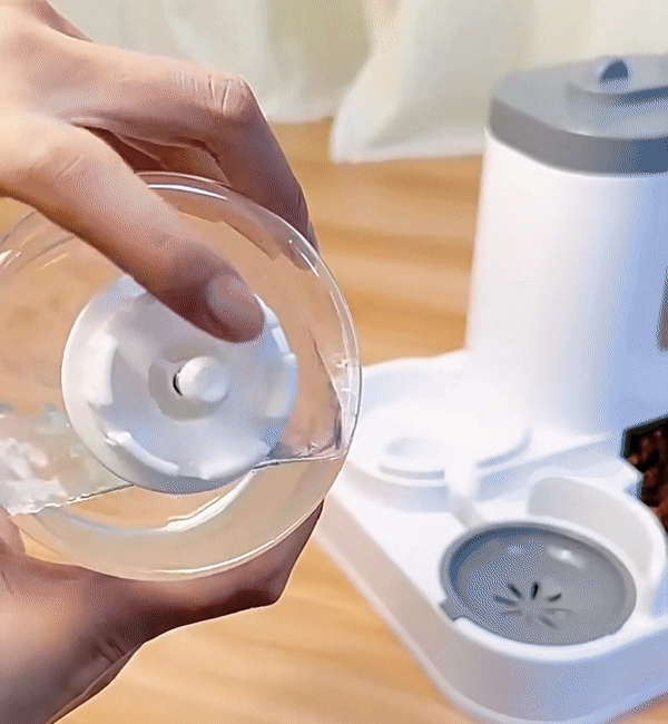 Worry-Free Pet Feeder