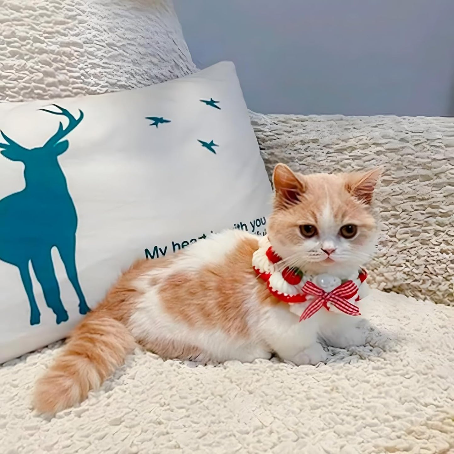 Cute Strawberry Cat Collar
