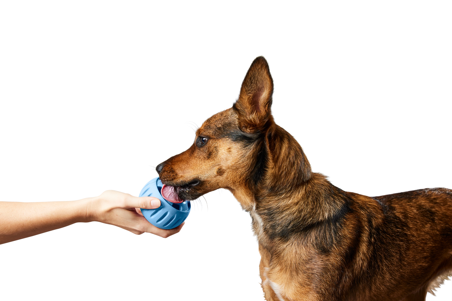 Woof Pupsicle Treat Toy