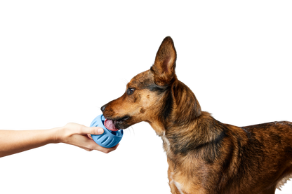 Woof Pupsicle Treat Toy