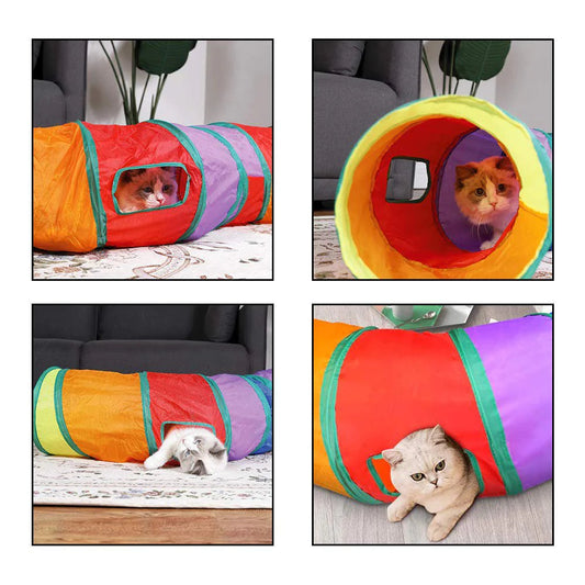 Playful Cat Tunnel Adventure