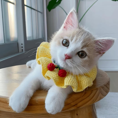 Adorable Floral Cat Bowtie Collar