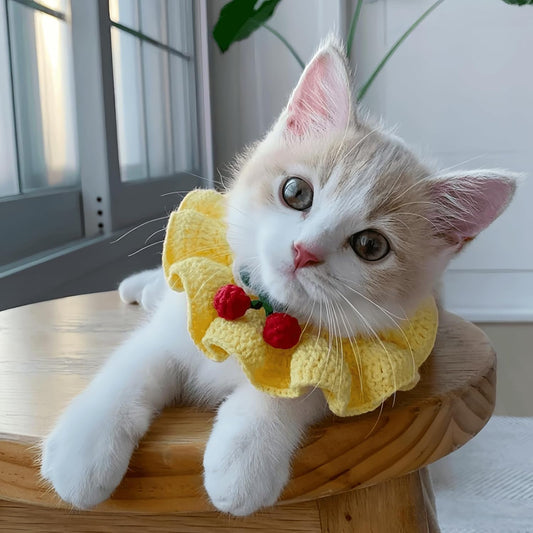 Adorable Floral Cat Bowtie Collar