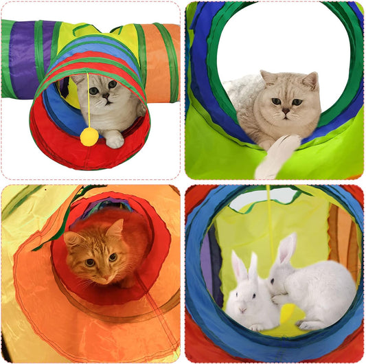 Playful Cat Tunnel Adventure